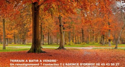Écharcon Terrain à bâtir - 2424412-10545annonce120251017bHxxp.jpeg Maisons France Confort