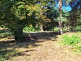 Terrain à bâtir à Pibrac (31820) 2387224-9555annonce120260109Po9Ow.jpeg Maisons France Confort