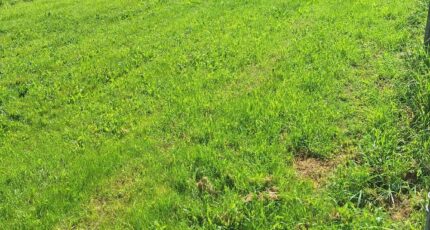 La Ville-Dieu-du-Temple Maison neuve - 2388735-3575annonce120260112MkuWH.jpeg Maisons France Confort