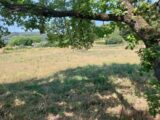 Terrain à bâtir à Draguignan (83300) 2424673-11157annonce120260211M2WxP.jpeg Maisons France Confort