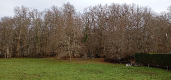 Terrain à bâtir à , Gironde