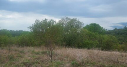 Montmeyan Terrain à bâtir - 2391194-9879annonce220260113TIILT.jpeg Maisons France Confort