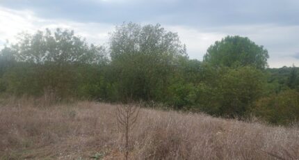 Montmeyan Terrain à bâtir - 2391194-9879annonce320260113WkACB.jpeg Maisons France Confort