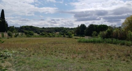 Aubais Terrain à bâtir - 2431111-11040annonce120260216FfHQm.jpeg Maisons France Confort