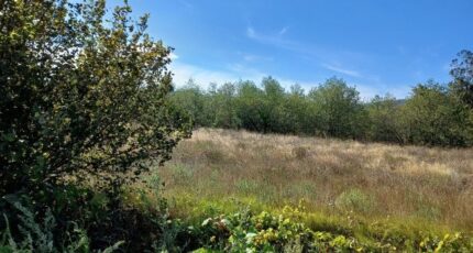 Ortaffa Maison neuve - 2432417-4671annonce120260217kTD81.jpeg Maisons France Confort