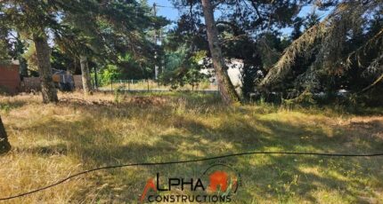Tresses Maison neuve - 2433759-11596annonce1202602182GciZ.jpeg Maisons France Confort