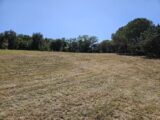 Terrain à bâtir à Roquebrune-sur-Argens (83520) 2438799-5163annonce220260224UWO5z.jpeg Maisons France Confort