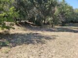 Terrain à bâtir à Roquebrune-sur-Argens (83520) 2438800-5163annonce420260224h4nBd.jpeg Maisons France Confort