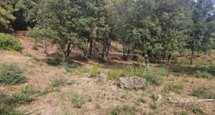 Taradeau Terrain à bâtir - 2438810-5163annonce4202602245EfB3.jpeg Maisons France Confort