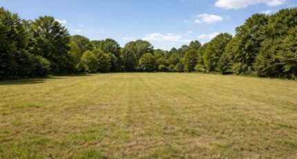 Razac-sur-l'Isle Maison neuve - 2440912-11794annonce120260225G8RBl.jpeg Maisons France Confort