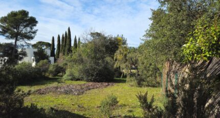 Le Cannet-des-Maures Maison neuve - 2441419-11723annonce120260226bEvkr.jpeg Maisons France Confort