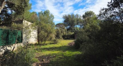 Le Cannet-des-Maures Maison neuve - 2441419-11723annonce220260226qOQ4R.jpeg Maisons France Confort