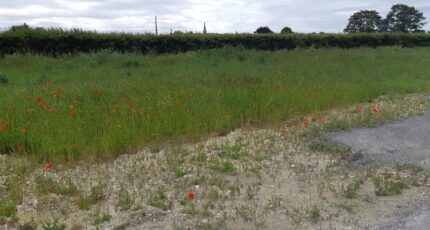 Mazingarbe Terrain à bâtir - 2439912-5754annonce120260225Npa50.jpeg Maisons France Confort