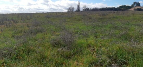 Terrain à bâtir à , Haute-Garonne