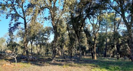 Le Thoronet Maison neuve - 2441816-11723annonce420260226rulkL.jpeg Maisons France Confort