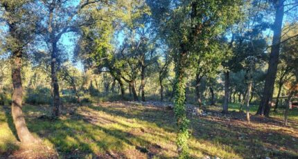 Le Thoronet Maison neuve - 2441808-11723annonce320260226yIJ0P.jpeg Maisons France Confort