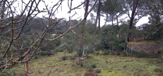 Terrain à bâtir à Garéoult, Provence-Alpes-Côte d'Azur