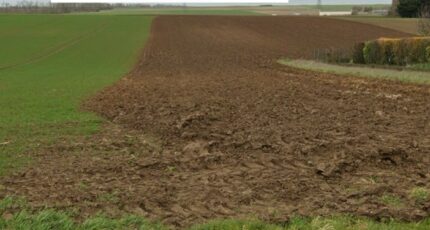 Duisans Maison neuve - 2441968-6159annonce120260226hFx30.jpeg Maisons France Confort