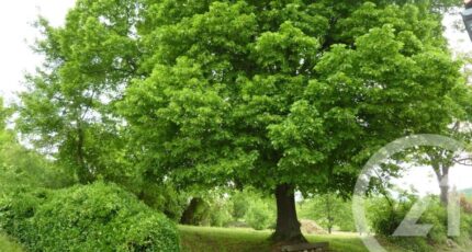 Laffite-Toupière Maison neuve - 2443584-4594annonce420260227DDO47.jpeg Maisons France Confort