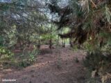 Terrain à bâtir à Lauraguel (11300) 2411224-10986annonce1202601298xZih.jpeg Maisons France Confort