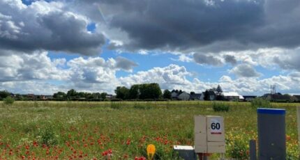 Mazingarbe Maison neuve - 2445357-11655annonce220260206lCwr4.jpeg Maisons France Confort