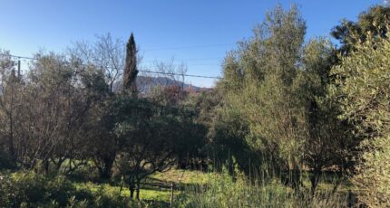 Carnoules Maison neuve - 2446148-4866annonce420260303Kgo1B.jpeg Maisons France Confort