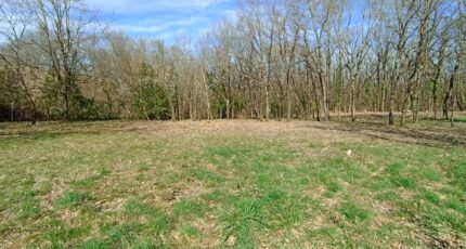 Mondonville Maison neuve - 2445500-10327annonce120260302aIBJt.jpeg Maisons France Confort