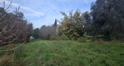 Valbonne Terrain à bâtir - 2447115-11201annonce120260304VuMOw.jpeg Maisons France Confort