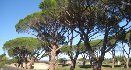 Sallèles-d'Aude Maison neuve - 2413510-692annonce120260130tpClD.jpeg Maisons France Confort