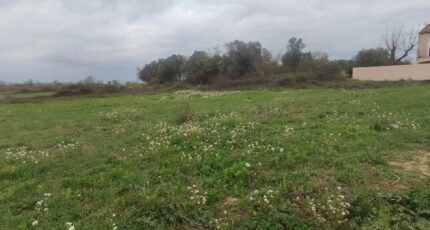 Salles-d'Aude Terrain à bâtir - 2447619-11782annonce120260304Nl5Pd.jpeg Maisons France Confort