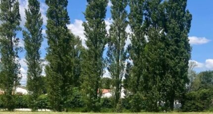 Commequiers Maison neuve - 2366317-7159annonce1202512124w5hB.jpeg Maisons France Confort