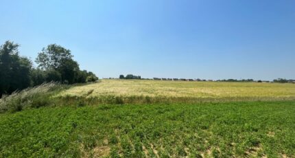 Wailly Maison neuve - 2447528-10222annonce120260304Oyv7U.jpeg Maisons France Confort