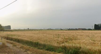 Merville Terrain à bâtir - 2448344-1215annonce120260305eWJGO.jpeg Maisons France Confort