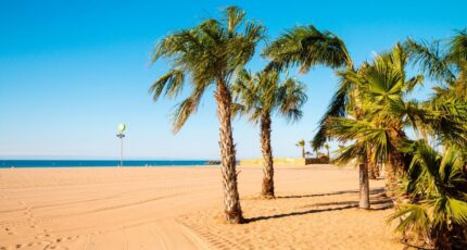 Sérignan Terrain à bâtir - 2448601-11018annonce320260305pz1JO.jpeg Maisons France Confort