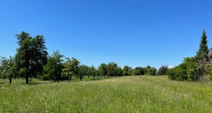 Burnhaupt-le-Bas Maison neuve - 2445172-11139annonce120260302W8dtD.jpeg Maisons France Confort