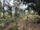 Terrain à bâtir à Belgentier (83210) 2417882-11136annonce120260204u0vM8.jpeg Maisons France Confort