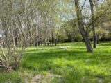 Terrain à bâtir à Salernes (83690) 2448934-10295annonce120260306hv0QU.jpeg Maisons France Confort
