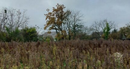 Widensolen Maison neuve - 2380810-5767annonce120260105nfJaR.jpeg Maisons France Confort