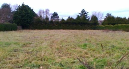 Saint-Fargeau-Ponthierry Maison neuve - 2412550-10729annonce120260129M9NE3.jpeg Maisons France Confort