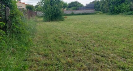 Fenouillet Maison neuve - 2448174-11356annonce320260305zSCPP.jpeg Maisons France Confort