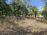 Maison à construire à Callian (83440) 2449817-5163annonce120260224hHCTQ.jpeg Maisons France Confort