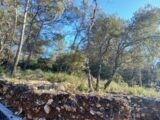 Terrain à bâtir à Rocbaron (83136) 2446942-5922annonce2202603040X3su.jpeg Maisons France Confort