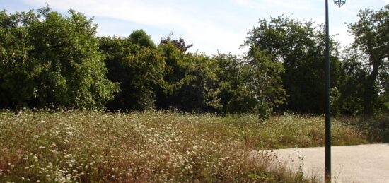 Terrain à bâtir à Rozay-en-Brie, Île-de-France