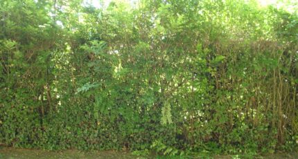 Oncy-sur-École Maison neuve - 2385056-4353annonce220260107eFw5R.jpeg Maisons France Confort