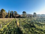 Terrain à bâtir à Draguignan (83300) 2452518-4529annonce4202603102PELT.jpeg Maisons France Confort