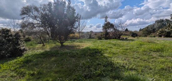 Terrain à bâtir à Plassac, Nouvelle-Aquitaine