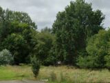 Maison à construire à Teloché (72220) 2451410-6170annonce220260309cLgNI.jpeg Maisons France Confort