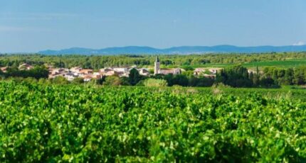 Pinet Maison neuve - 2420499-10896annonce220260206yPtNz.jpeg Maisons France Confort