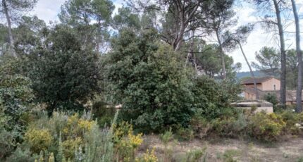 Ventabren Terrain à bâtir - 2455293-11680annonce120260312zBTaP.jpeg Maisons France Confort