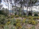 Terrain à bâtir à Ventabren (13122) 2455293-11680annonce420260312Dwy2w.jpeg Maisons France Confort